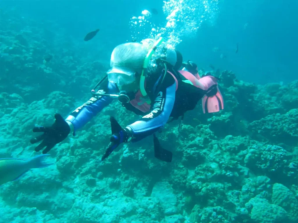 Plongées sous-marine Djerba