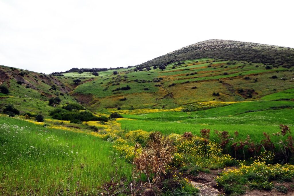 Randonnées à Hammamet : À la découverte des trésors naturels 8 parcours de randonnées hammamet