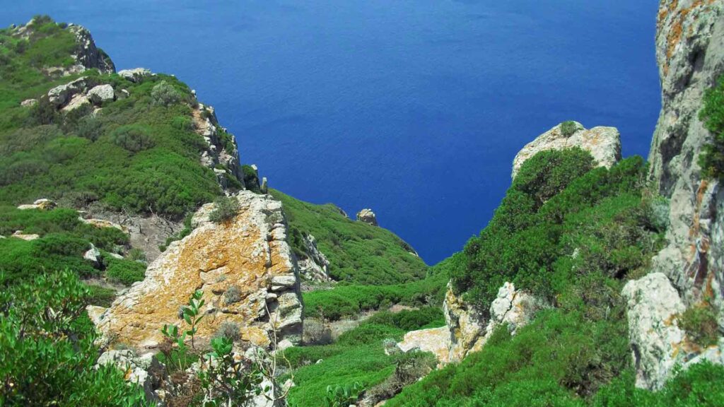 Tourisme à Bizerte : Les incontournables à visiter 10 L’archipel de Zembra et Zembretta
