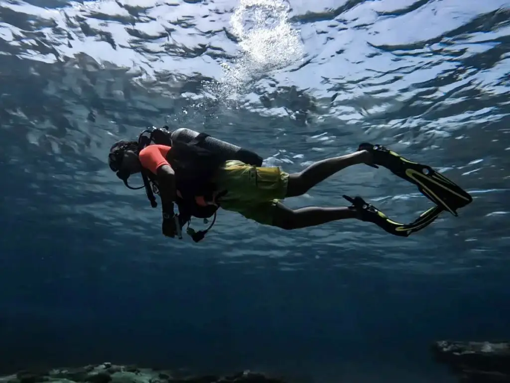 Les meilleures activités nautiques à Bizerte 13 plongée sous marine bizerte