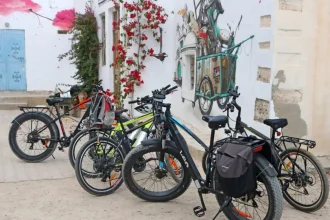 Djerba vélo